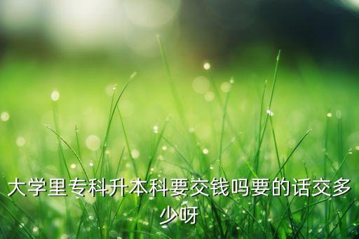 大學(xué)里?？粕究埔诲X嗎要的話交多少呀