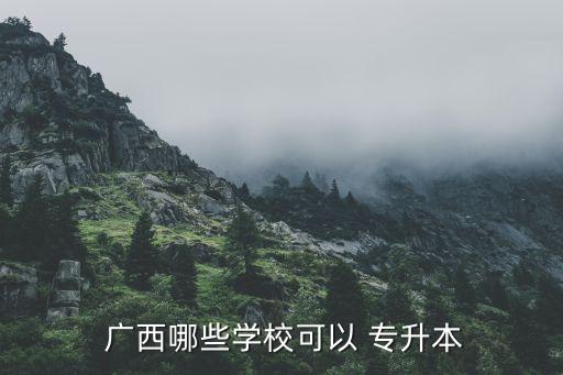  廣西哪些學(xué)校可以 專升本