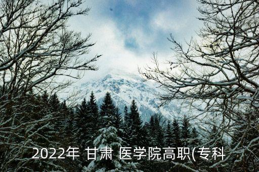 2022年 甘肅 醫(yī)學(xué)院高職(專科