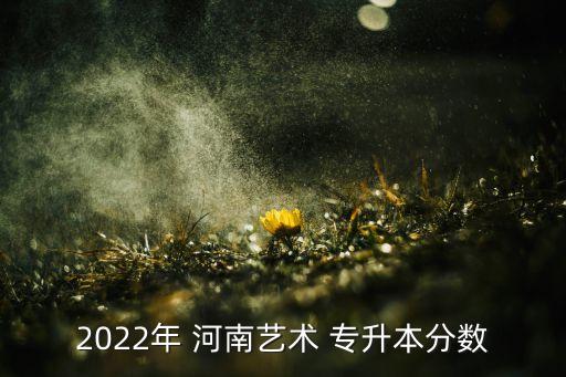 2022年 河南藝術(shù) 專升本分?jǐn)?shù)