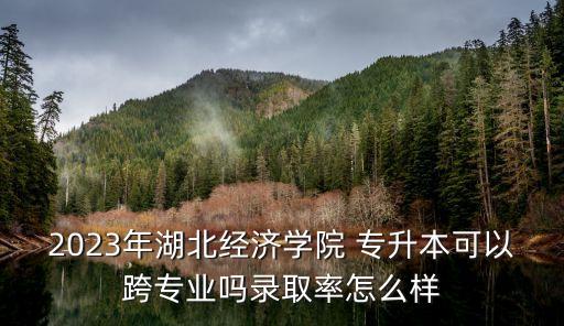 2023年湖北經(jīng)濟學院 專升本可以跨專業(yè)嗎錄取率怎么樣