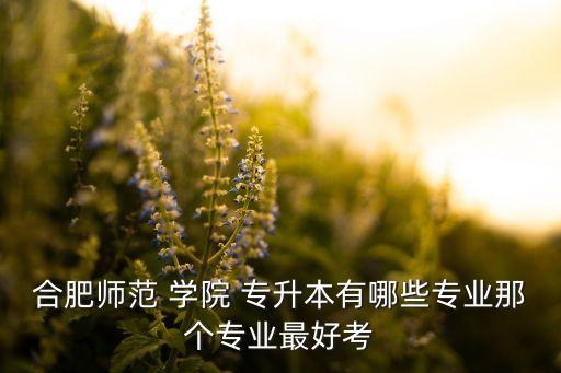 合肥師范 學(xué)院 專升本有哪些專業(yè)那個(gè)專業(yè)最好考