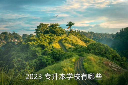 2023 專升本學(xué)校有哪些