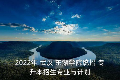 2022年 武漢 東湖學院統(tǒng)招 專升本招生專業(yè)與計劃