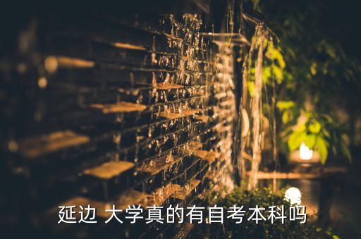 延邊大學(xué)可以專升本嗎