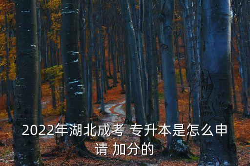 專升本少數(shù)民族加分嗎,內(nèi)蒙古專升本少數(shù)民族加分政策