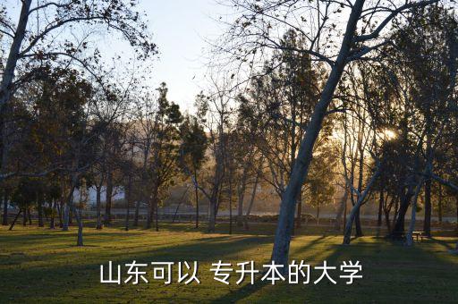  山東可以 專升本的大學