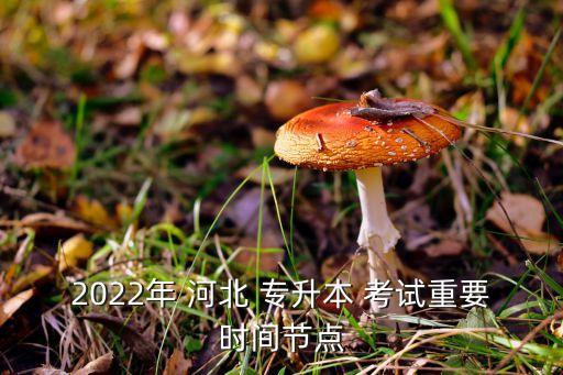 2022年 河北 專升本 考試重要時間節(jié)點