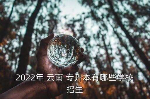 2022年 云南 專升本有哪些學校招生