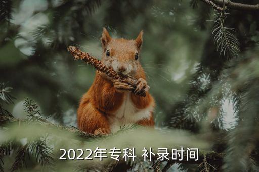 2022年?？?補錄時間