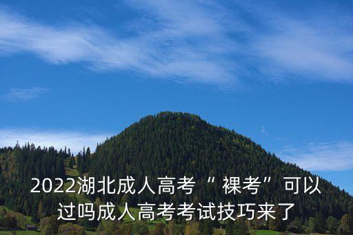 2022湖北成人高考“ 裸考”可以過(guò)嗎成人高考考試技巧來(lái)了