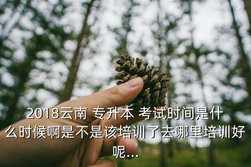 2018云南 專升本 考試時(shí)間是什么時(shí)候啊是不是該培訓(xùn)了去哪里培訓(xùn)好呢...