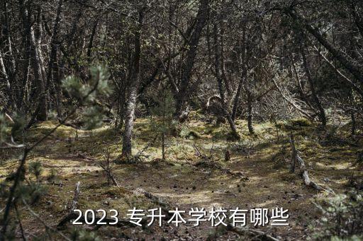 2023 專升本學校有哪些