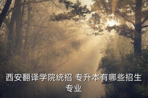 西安翻譯學(xué)院統(tǒng)招 專升本有哪些招生專業(yè)