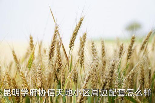 昆明學府協(xié)信天地小區(qū)周邊配套怎么樣