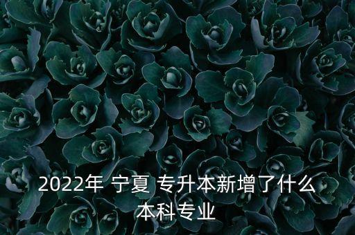 2022年 寧夏 專升本新增了什么本科專業(yè)